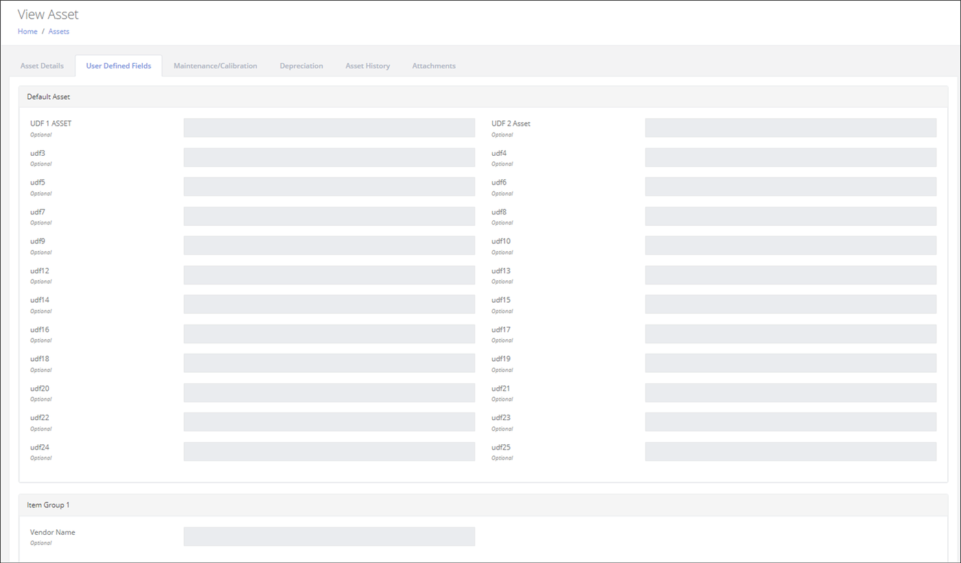 View Asset page, User Defined Fields tab, showing the Default Asset and Item Group 1 field groups with their fields