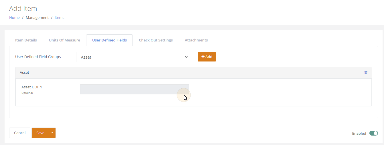 Add Item User Defined Fields tab showing the Asset group added, with its Asset UDF 1 field greyed out as read-only