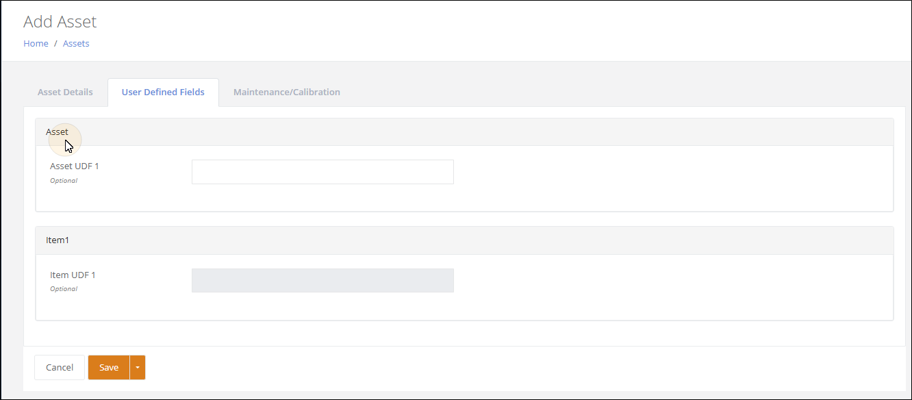 Add Asset User Defined Fields tab with an editable Asset UDF 1 field and a read-only Item UDF 1 field